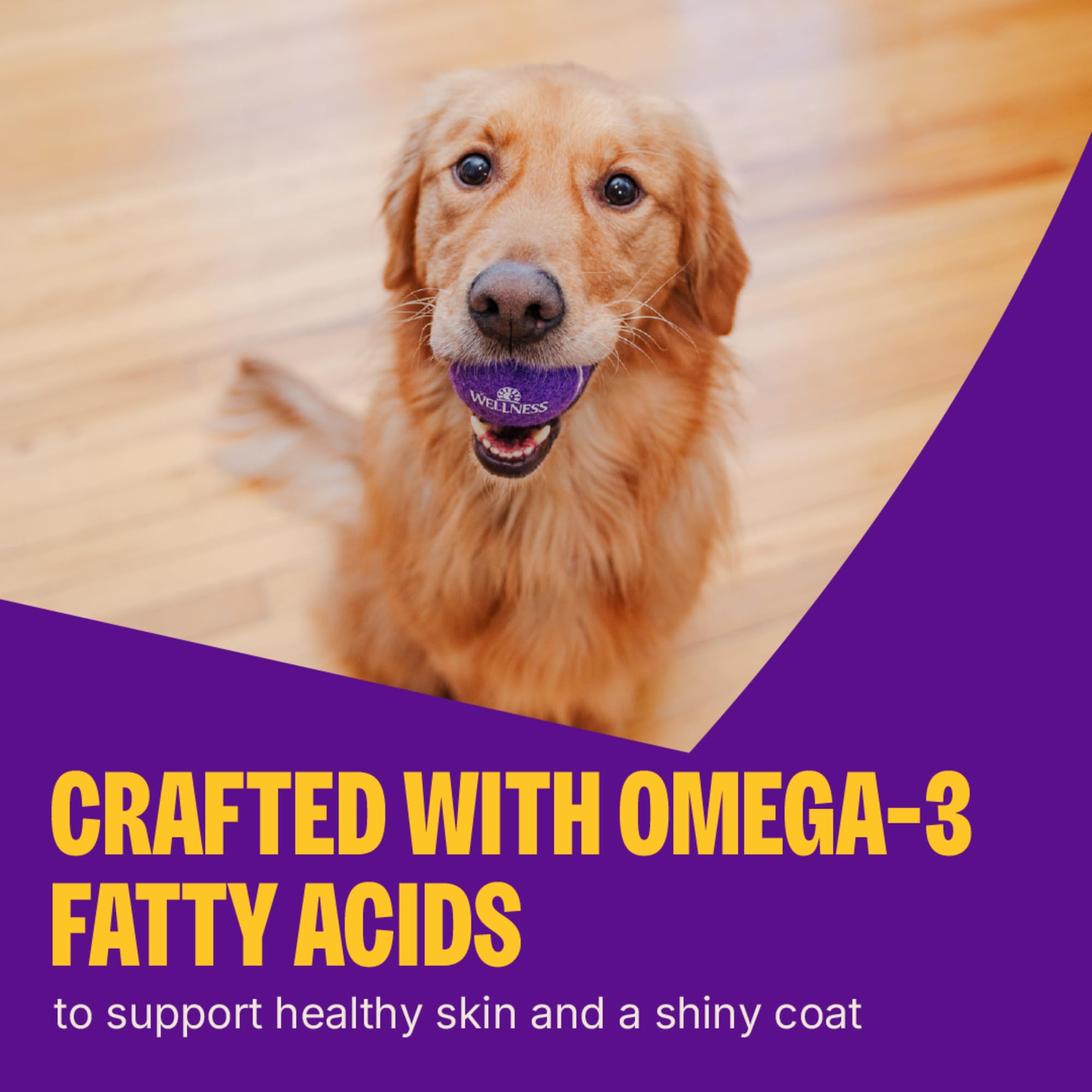 Option sans céréales Wellness sans maïs, blé et soja pour chiens sensibles.