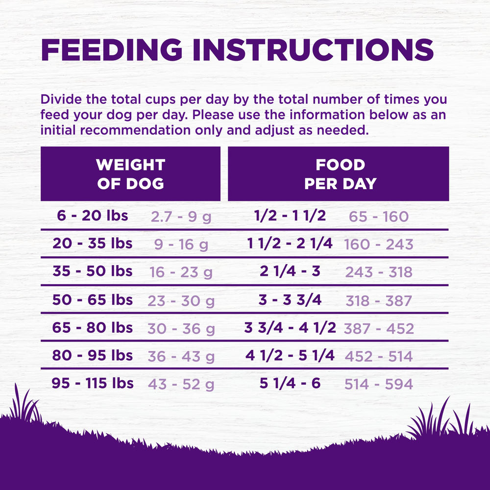Wellness saumon-riz: recette sans poulet avec goût agréable et digestibilité.