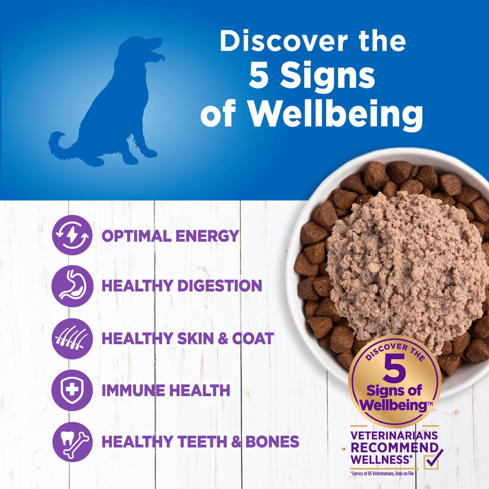 Wellness Simple: fibres et probiotiques pour soutenir la digestion du chien.