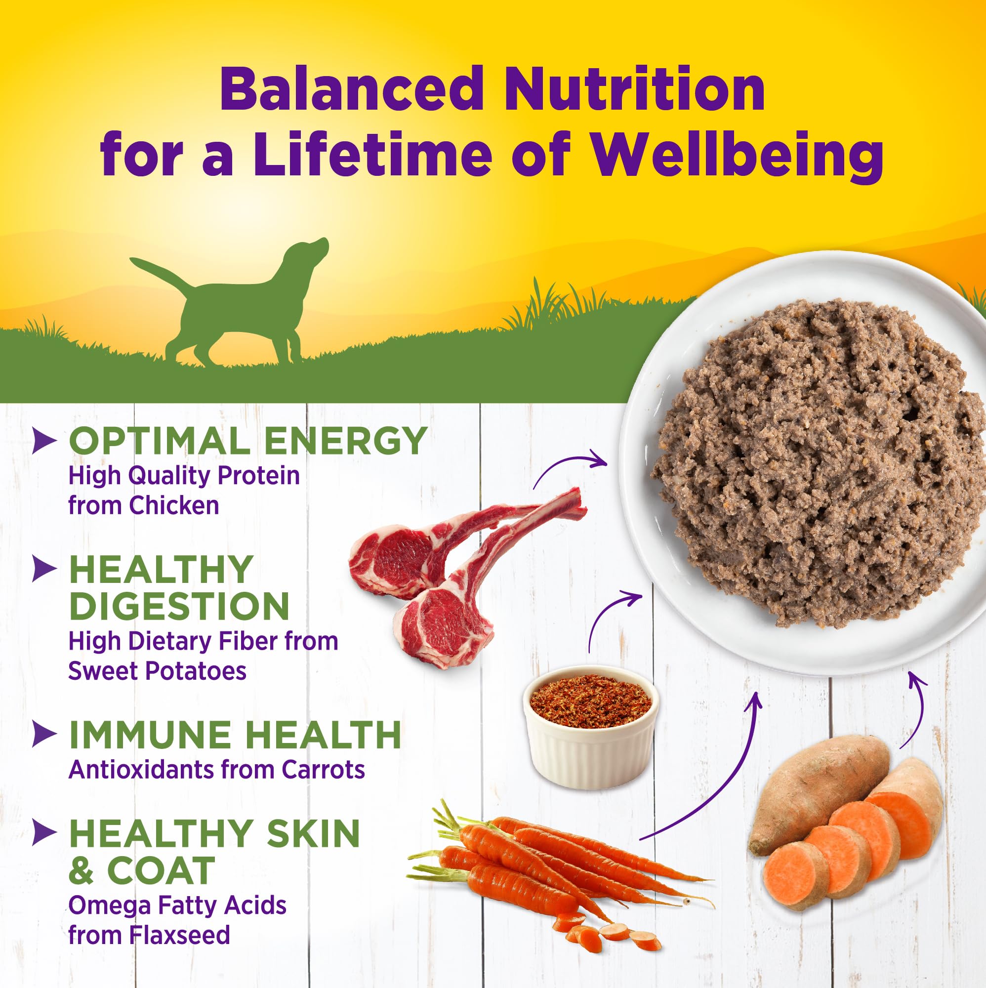 Texture pate lisse Wellness pour chien, repas facile et appétissant.