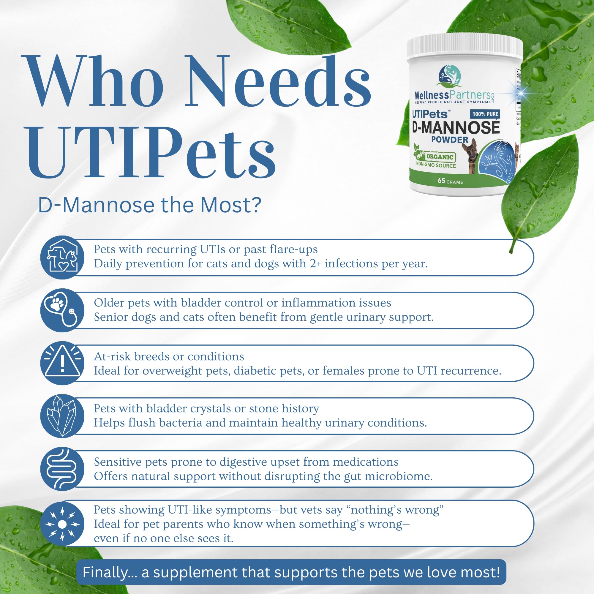 WellnessPartners UTI Pets D-Mannose, vegan et sans lactose