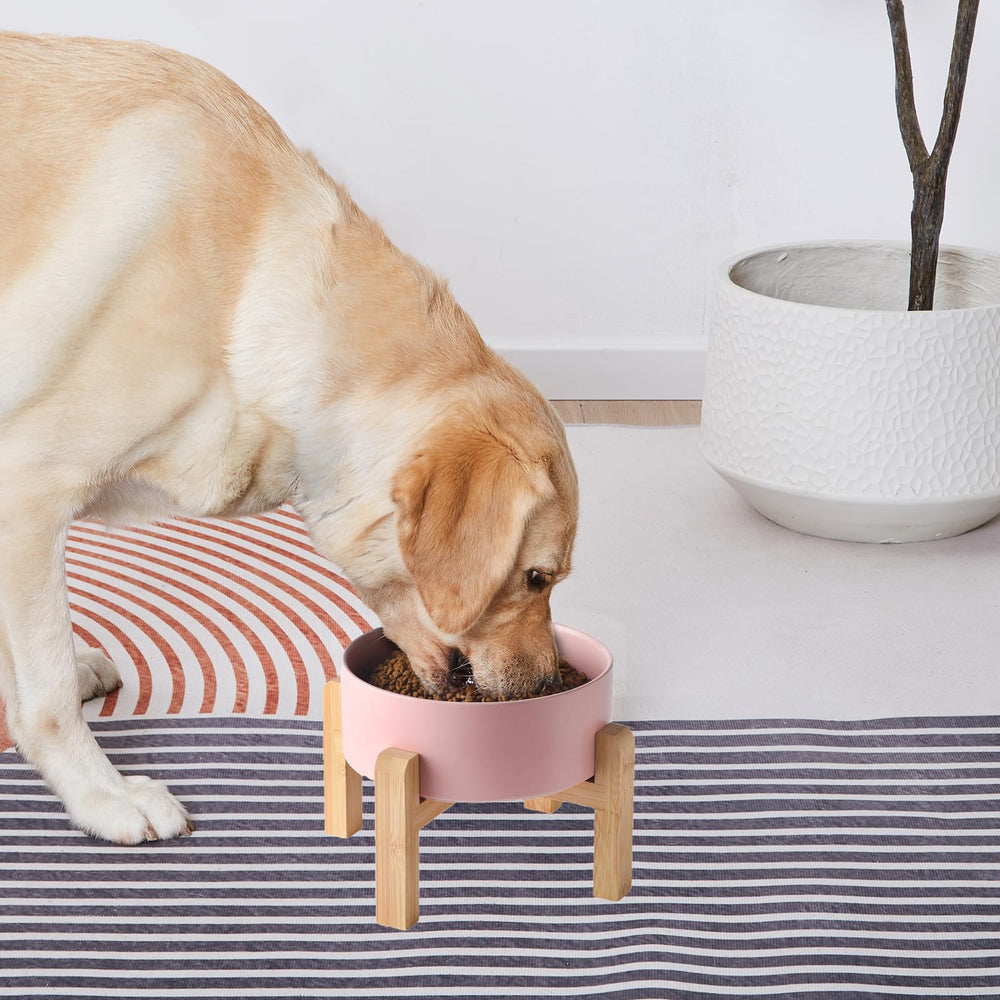 Conception anti-vomissements, favorise une posture naturelle pendant les repas.