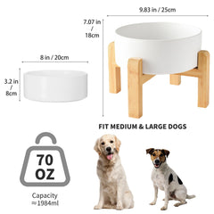 Bol Welloyed 70 oz offre une grande capacité pour nourriture et eau.