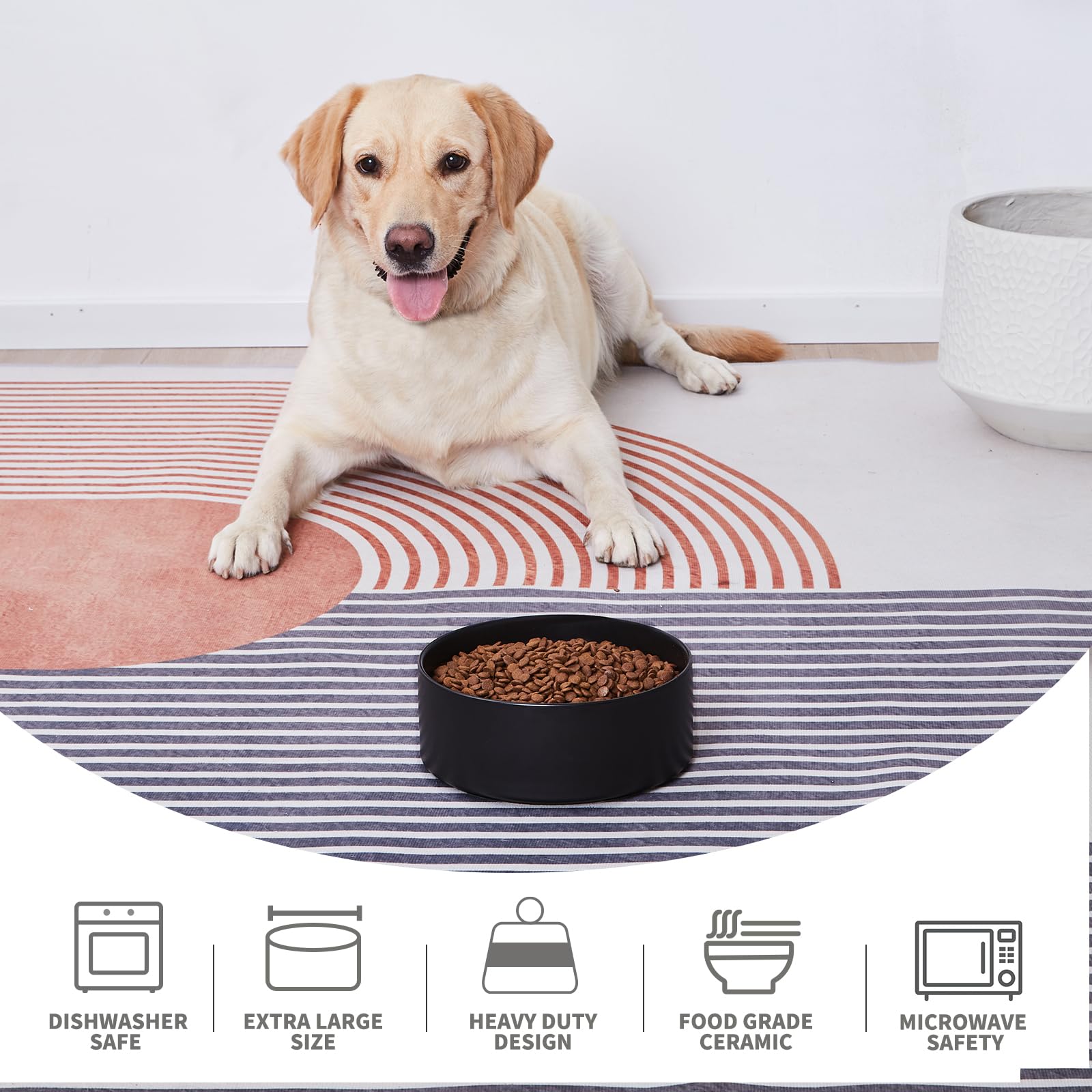 Bol robuste Welloyed en ceramique durable pour chiens actifs