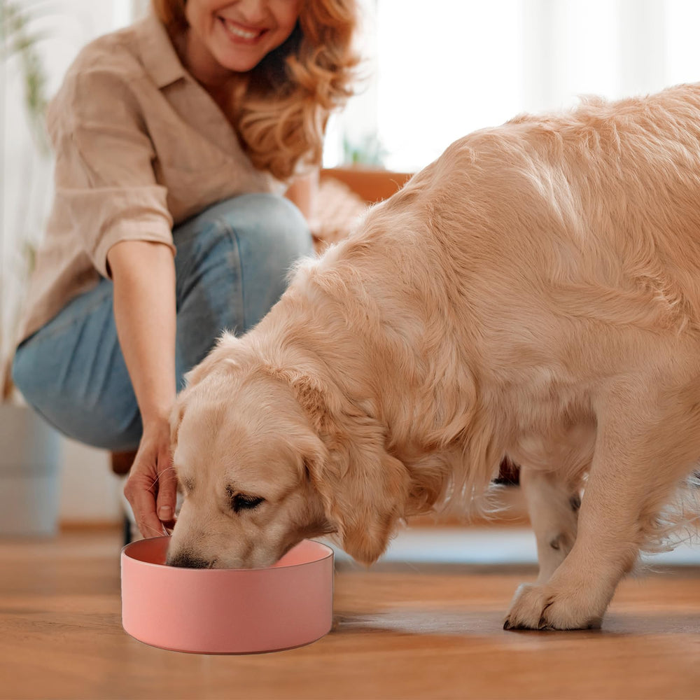 Bol rose Welloyed pour chien, usage quotidien pratique et durable.