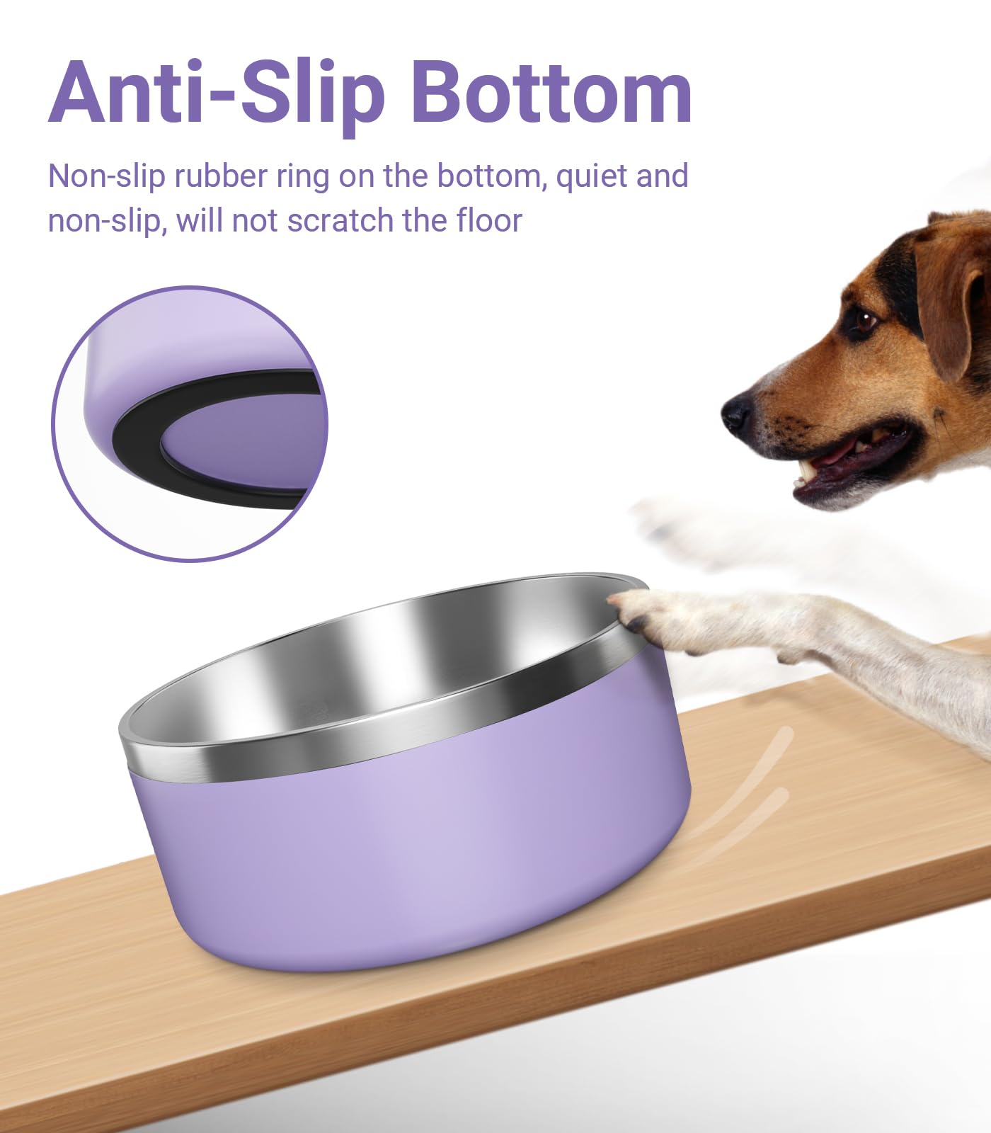 Bol Wenbokmin en inox 304 pour chiens, durable et hygiénique.