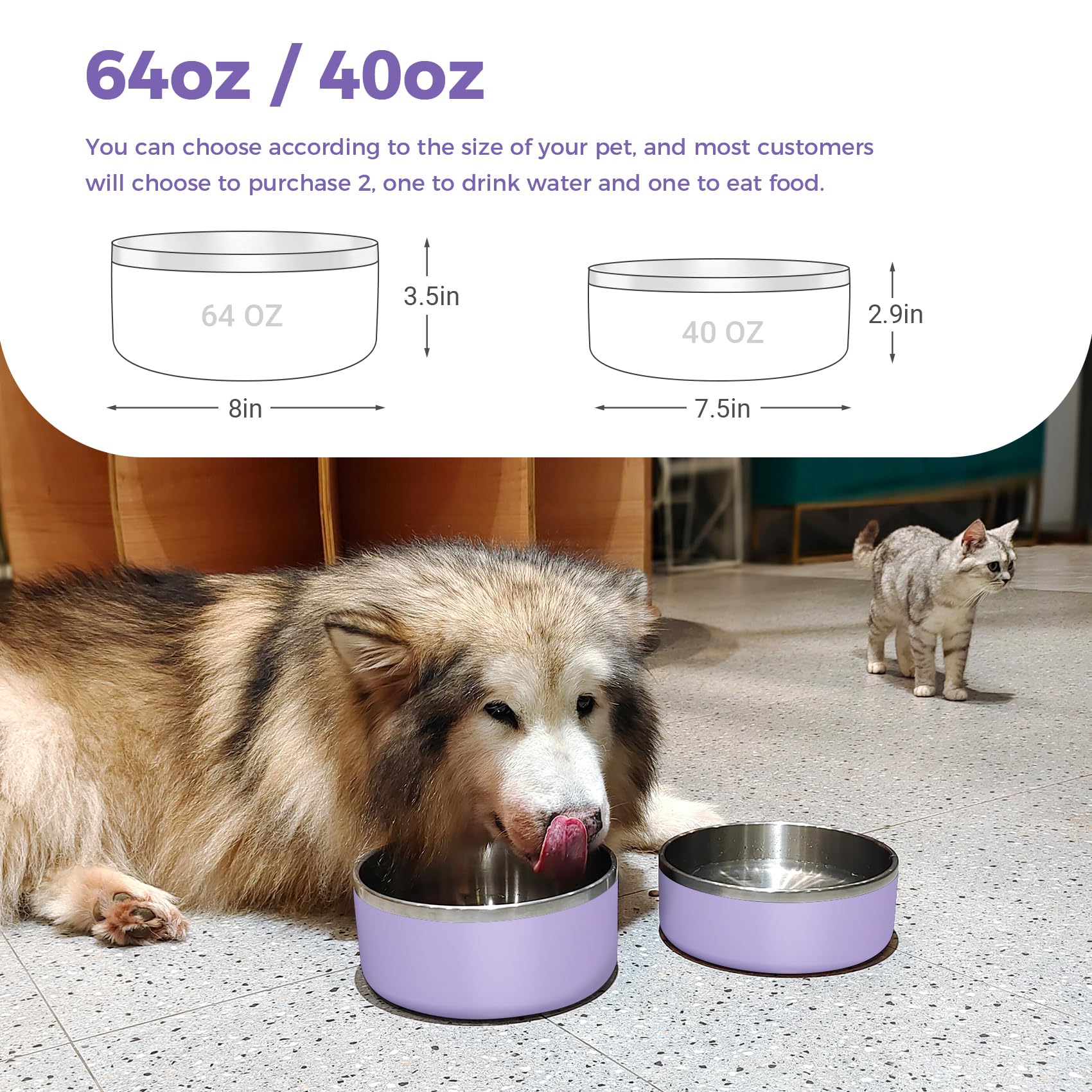 Bol chien Wenbokmin en inox, compatible lave-vaisselle, facile à nettoyer.