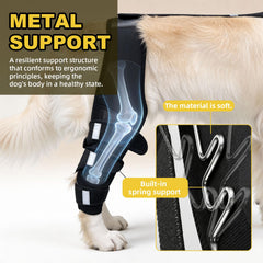 WENQUSEN Attelle genou chien – splints flexibles pour mouvement naturel