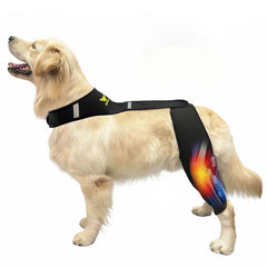 Orthèse genou chien WENQUSEN, soutien stable et mobilité retrouvée.