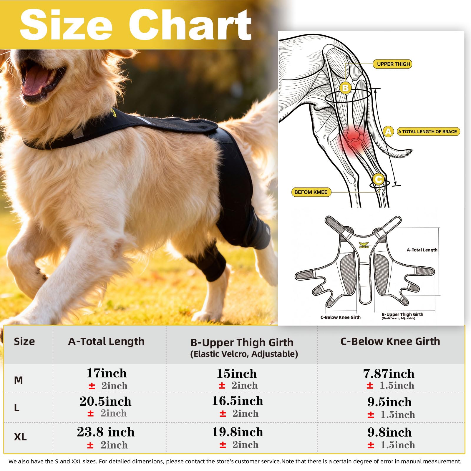 WENQUSEN Utilisation quotidienne — pensée pour les activités normales du chien