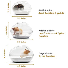 Wenriko bac sable hamster base profonde pour maintenir le sable en place