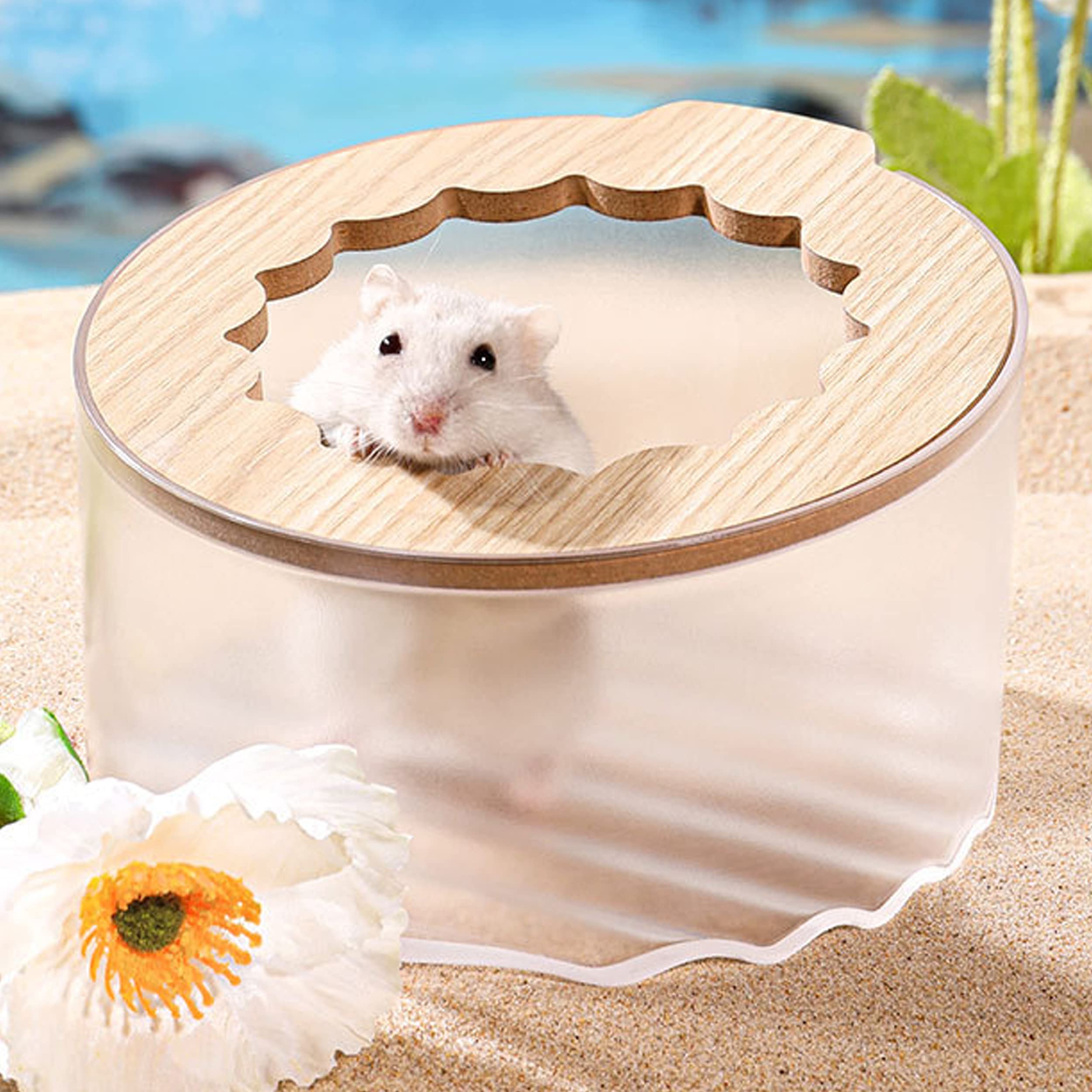 Wenriko boite sable hamster ronde, bain propre et stable