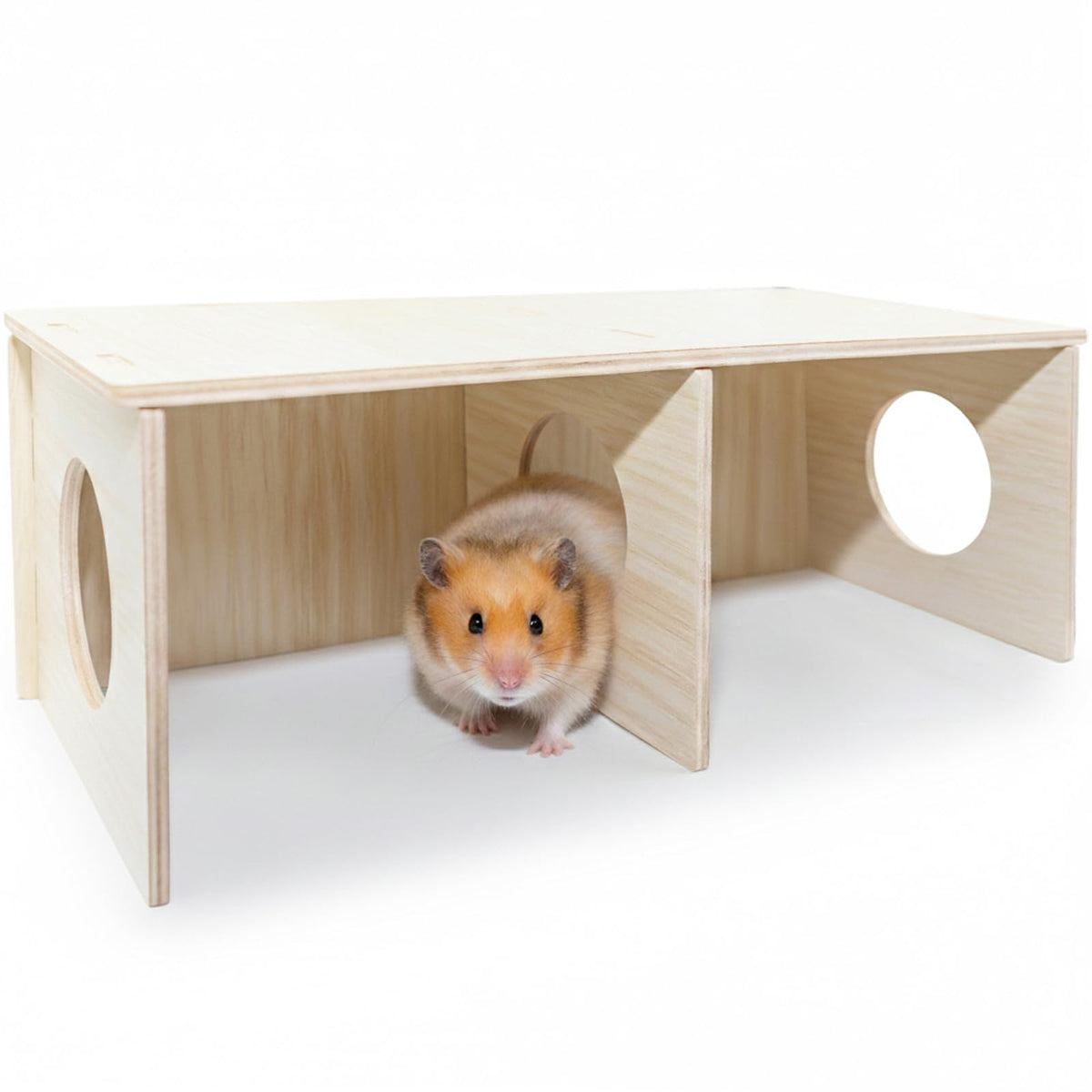 Wenriko Hamster Peep Tunnel fenêtre secrète pour observer sans stress et enrichissement.