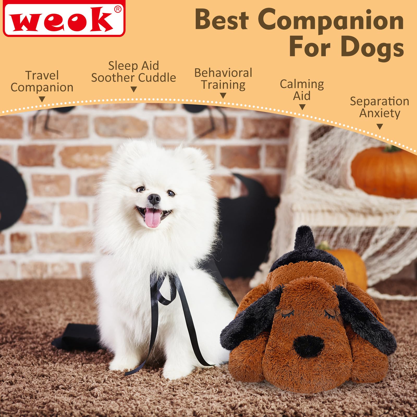 WEOK peluche petites races lavable en machine pour l'hygiène pratique.