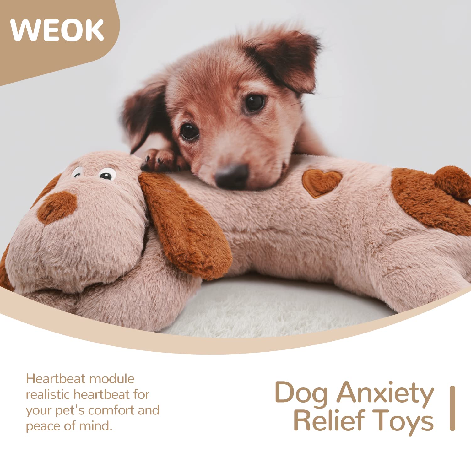 WEOK utilisation simple aide les propriétaires à calmer les animaux.