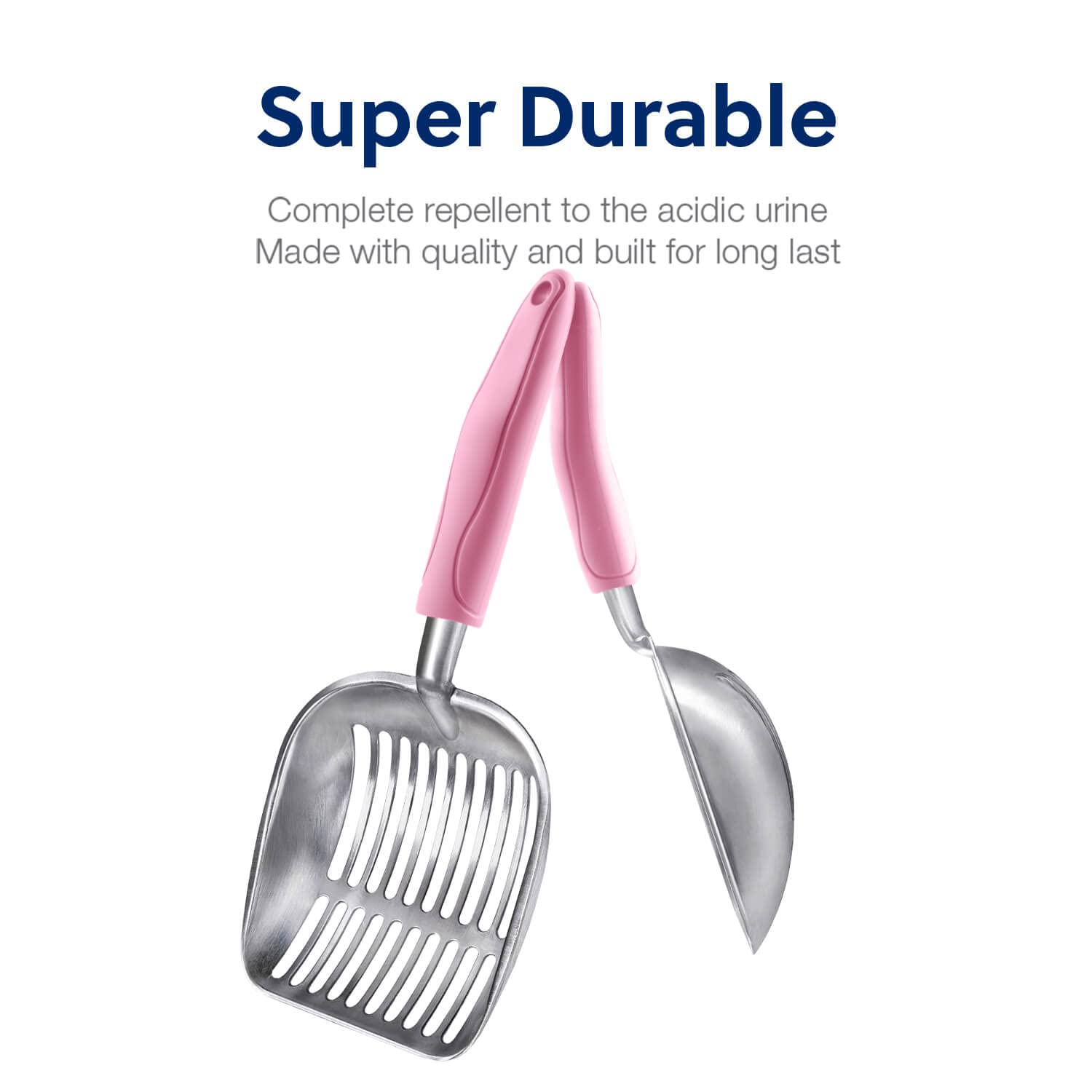 WePet bord lisse sans dents, expérience de collecte rapide et agréable.