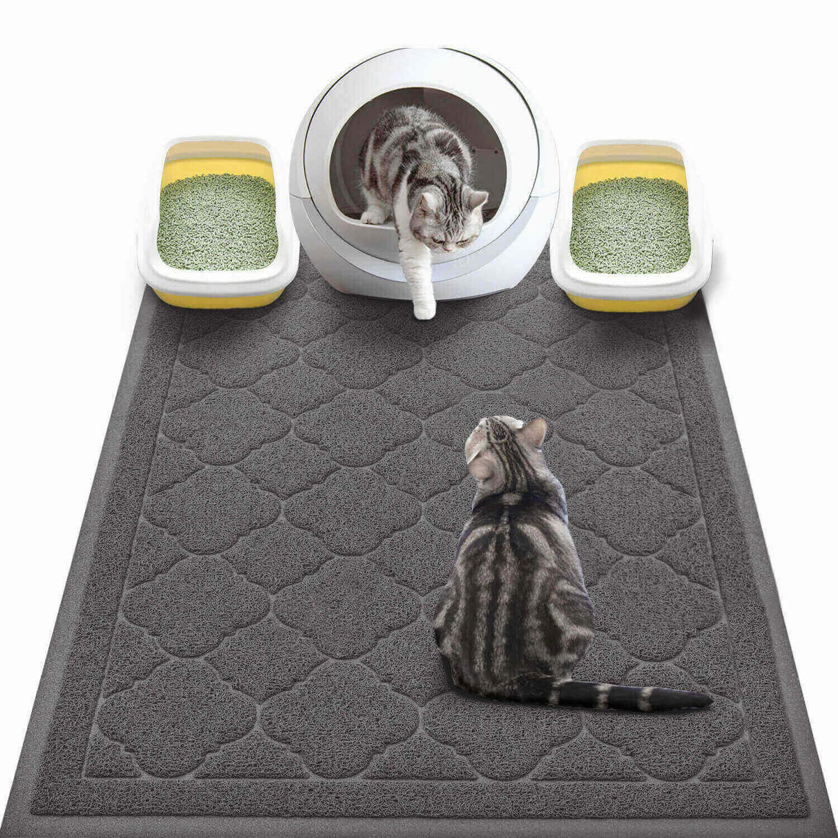 WePet tapis litière chat XXL noir, bloque les éclaboussures et garde le sol propre.