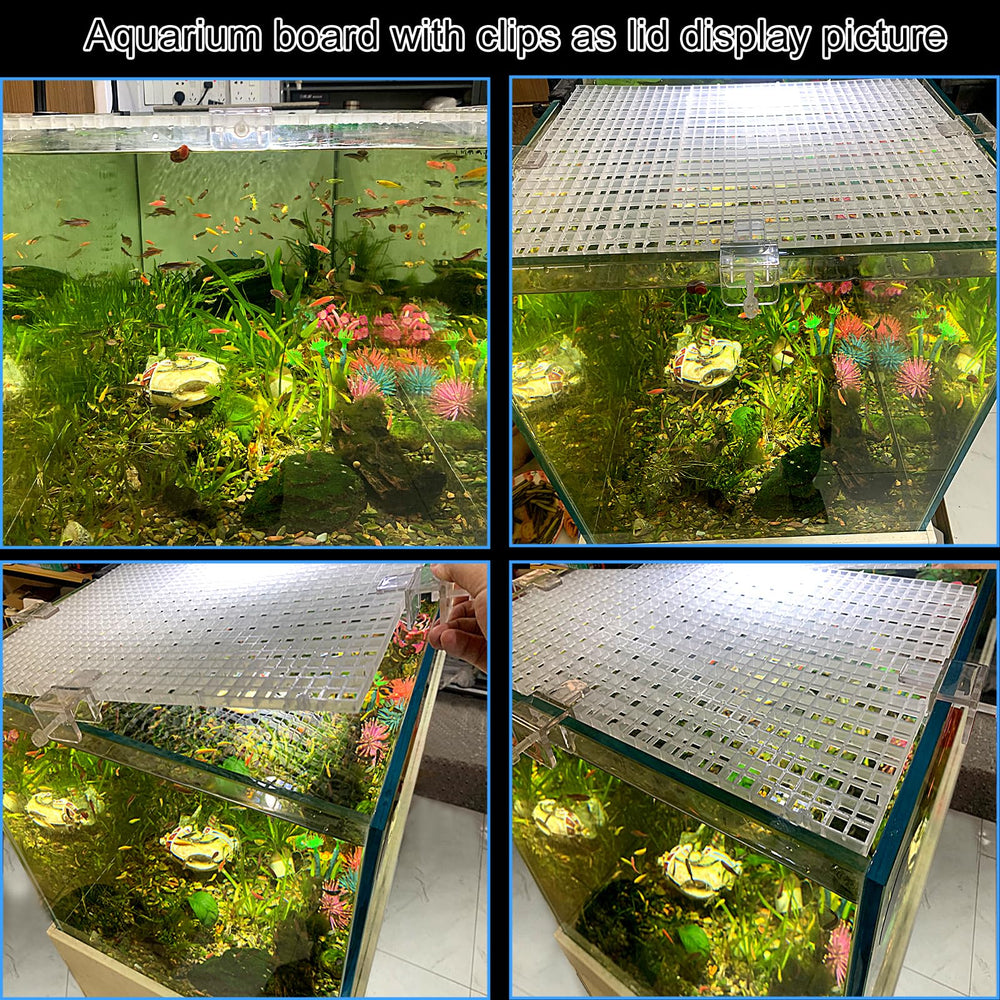 Weramics kit accessoires aquarium: clips et plaques inclus pour installation rapide.