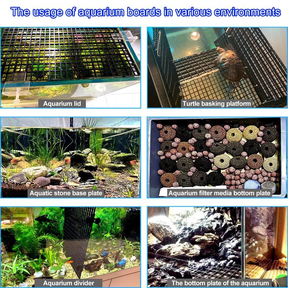 Weramics plaque nid d'abeille pour aquarium — base polyvalente et stable