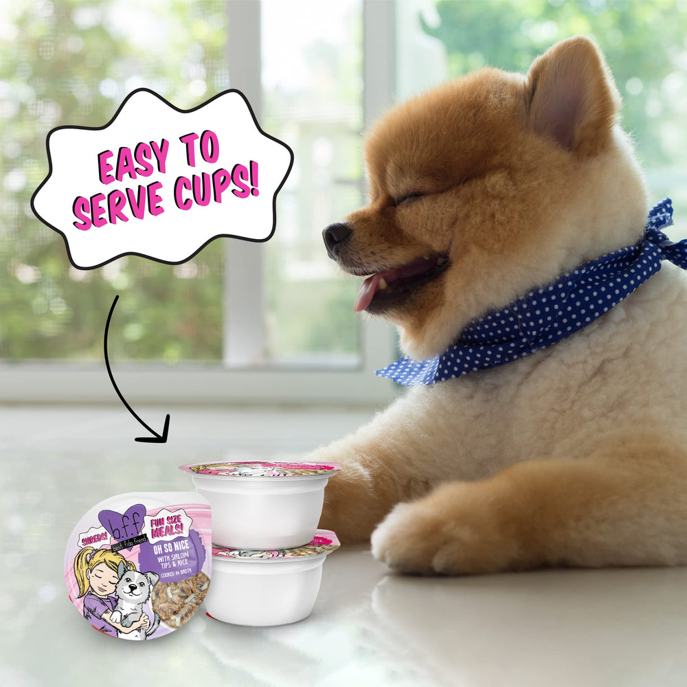 Weruva Best Fido Friend pack de 8 cups, variété pratique pour la routine