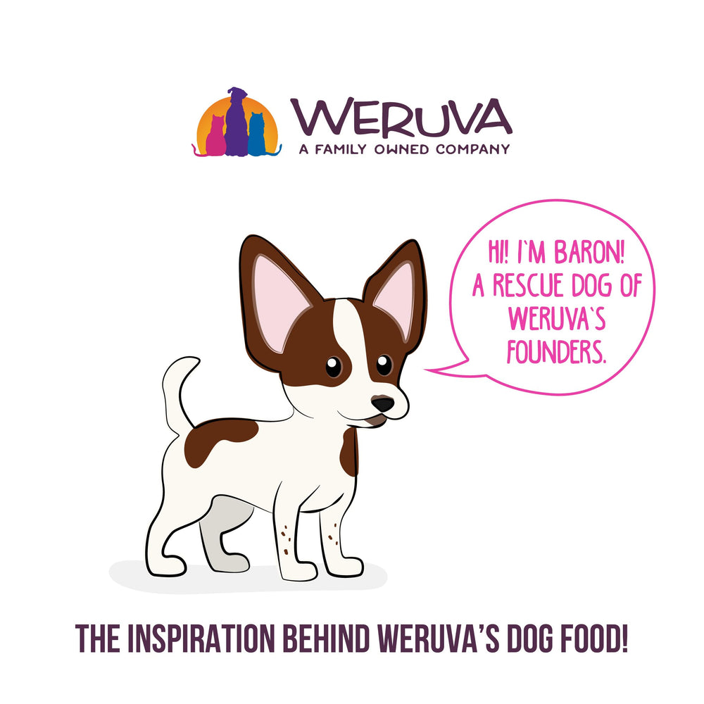 Weruva Best Fido Friend sans gluten, choix sûr pour chiens sensibles