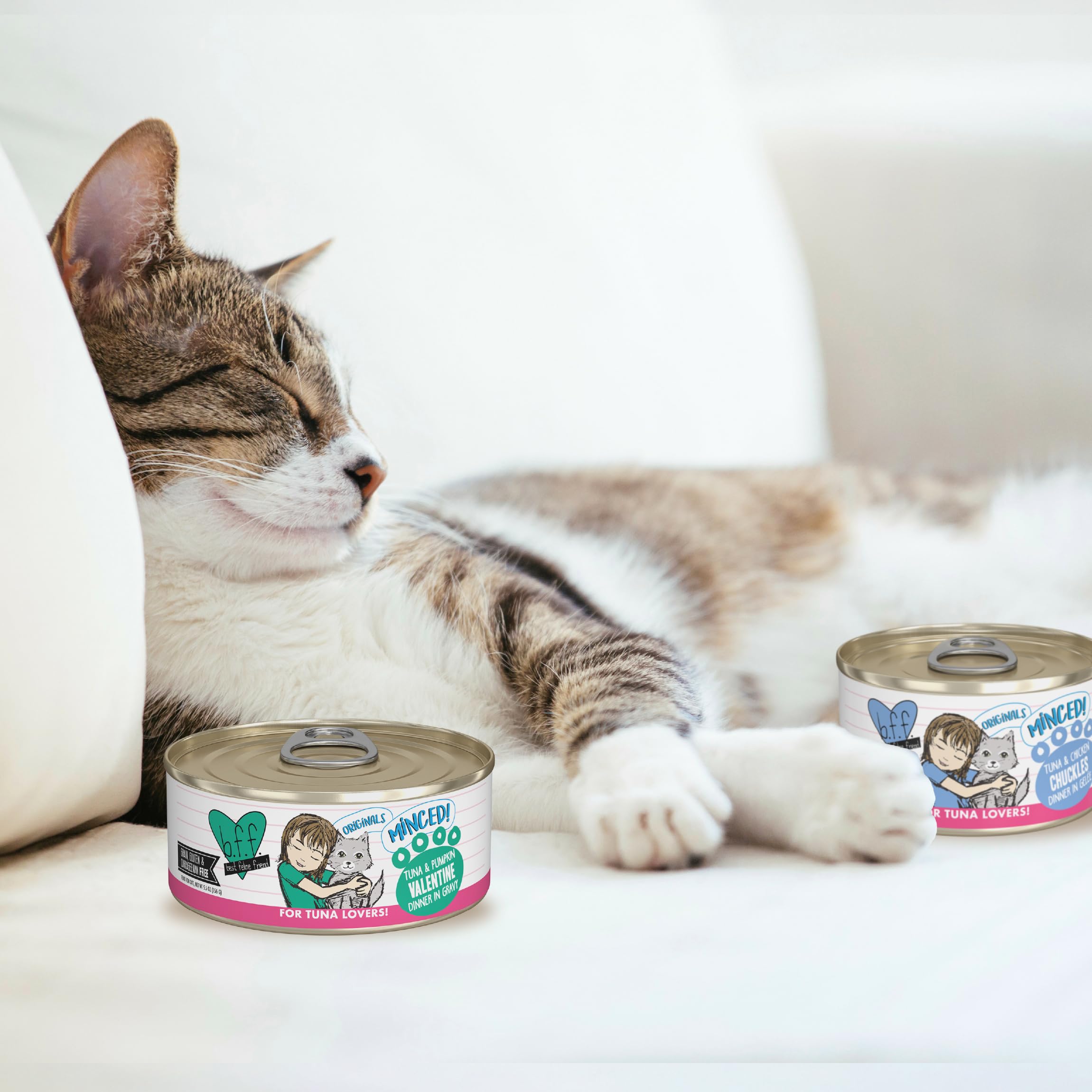 Weruva BFF Minced Valentine: marque familiale engagée envers le bien-être animal.