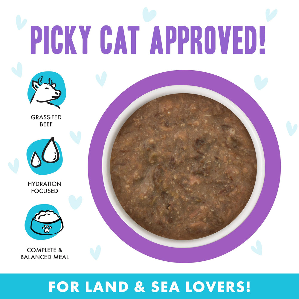 Weruva B.F.F. OMG sauce riche, repas humide et savoureux pour chat.