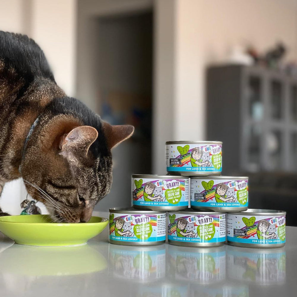 Weruva B.F.F. OMG: parfait pour les chats gourmands cherchant une sauce riche.