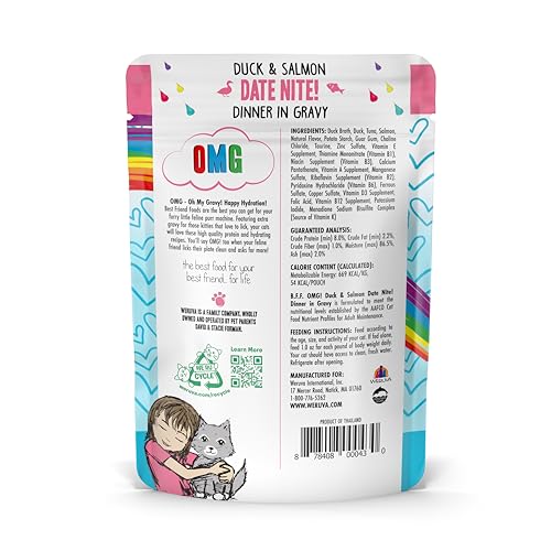 Bol B.F.F. avec sauce généreuse et morceaux tendres pour chat.