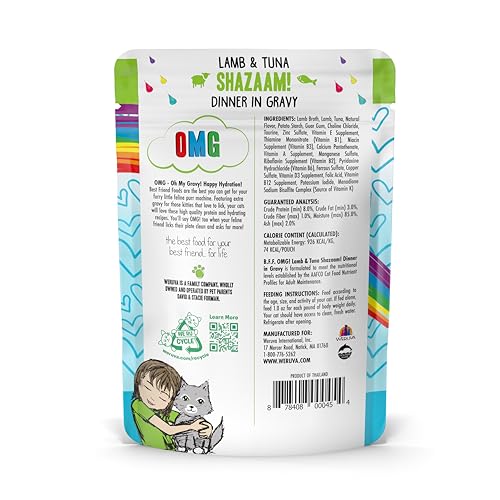 Shazaam Weruva B.F.F OMG dans bol, texture humide et hydratation.