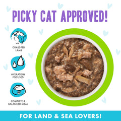 Weruva B.F.F OMG Shazaam sans céréales et gluten pour chats.