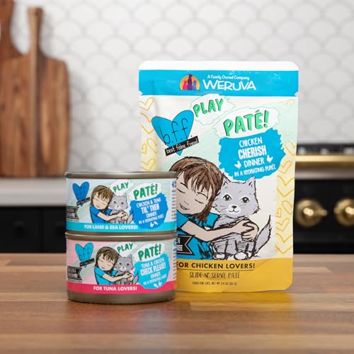 Pack pratique de douze boîtes de 2,8 onces Weruva.