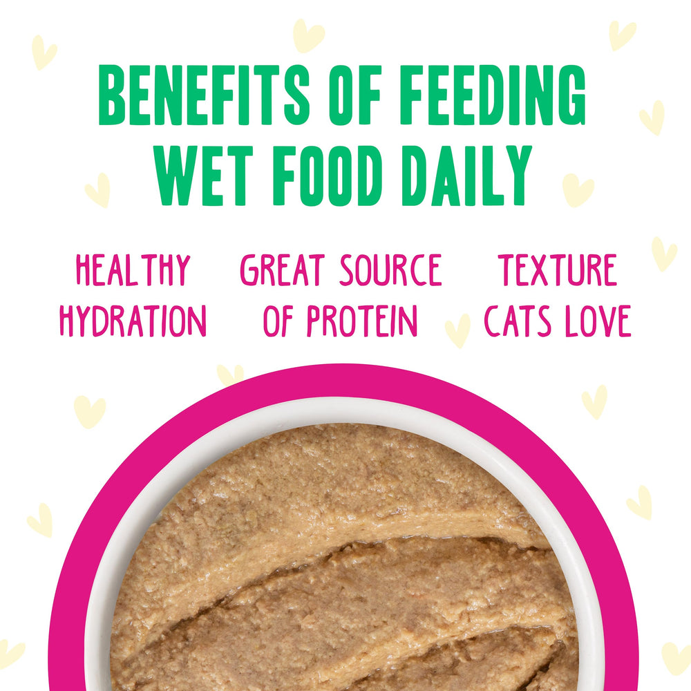 Pate sans carrageenan Weruva B.F.F. Play, texture lisse et agréable.