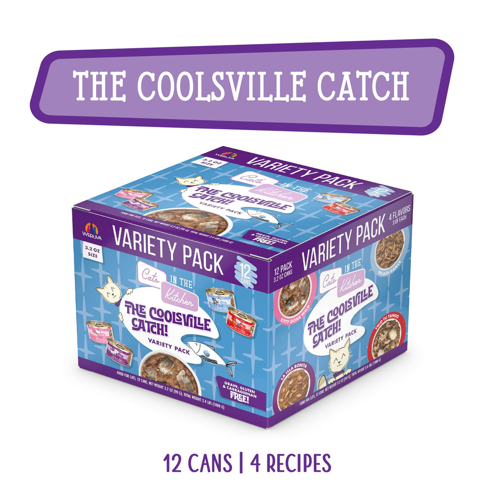 Premier plan de boîtes 3,2 oz Weruva Cats in the Kitchen, texture et sauce