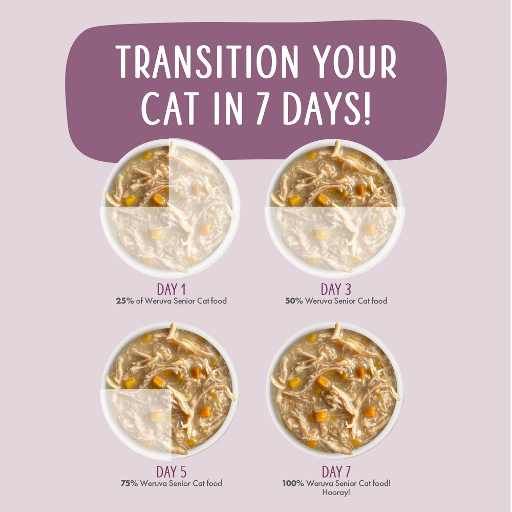 Boites pratiques de 5,5 oz pour repas quotidiens.