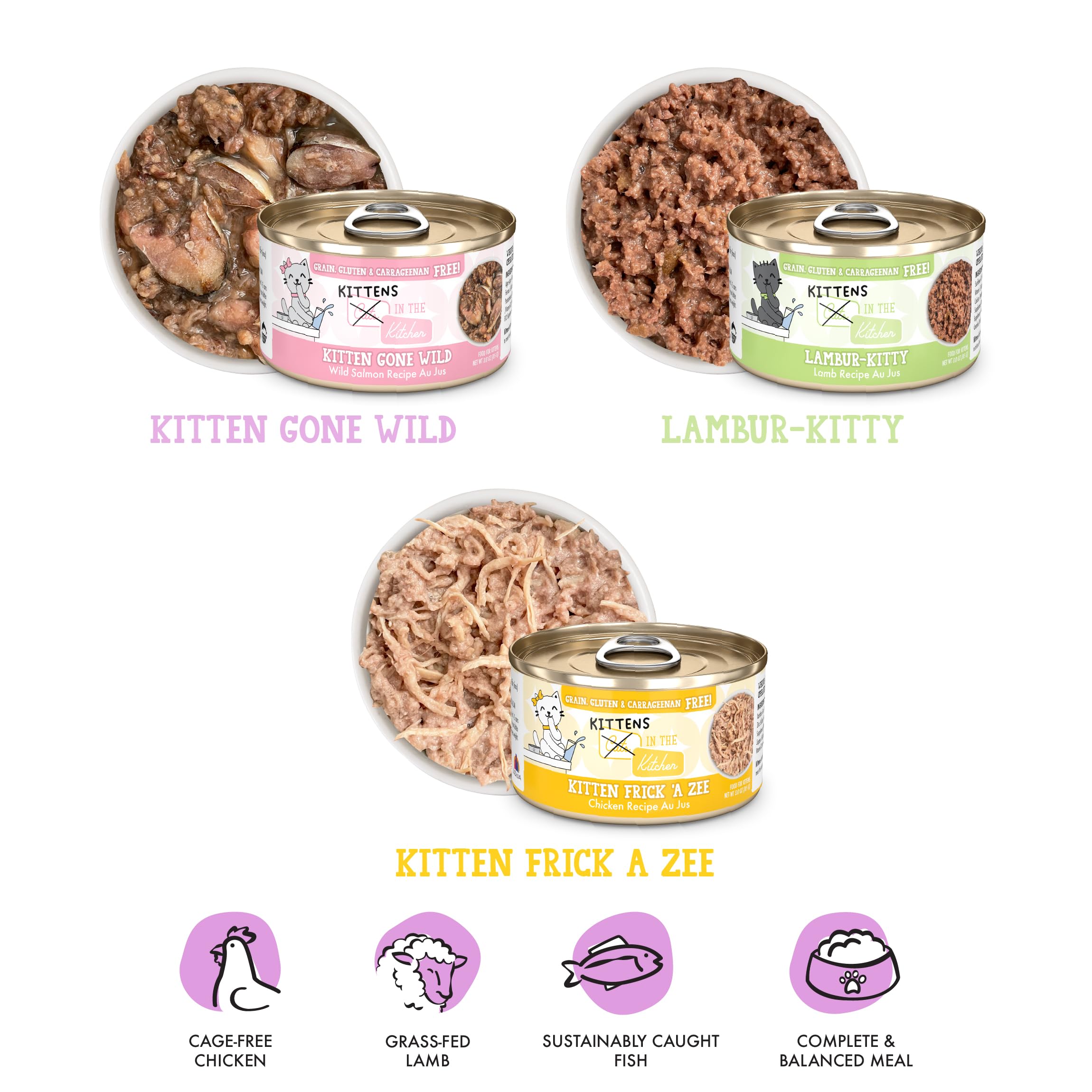 Recette Kitten Gone Wild de Weruva en boîte de 3oz