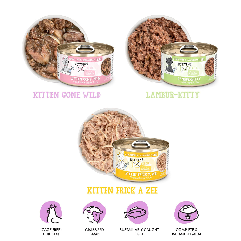 Recette Kitten Gone Wild de Weruva en boîte de 3oz