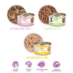 Recette Kitten Gone Wild de Weruva en boîte de 3oz