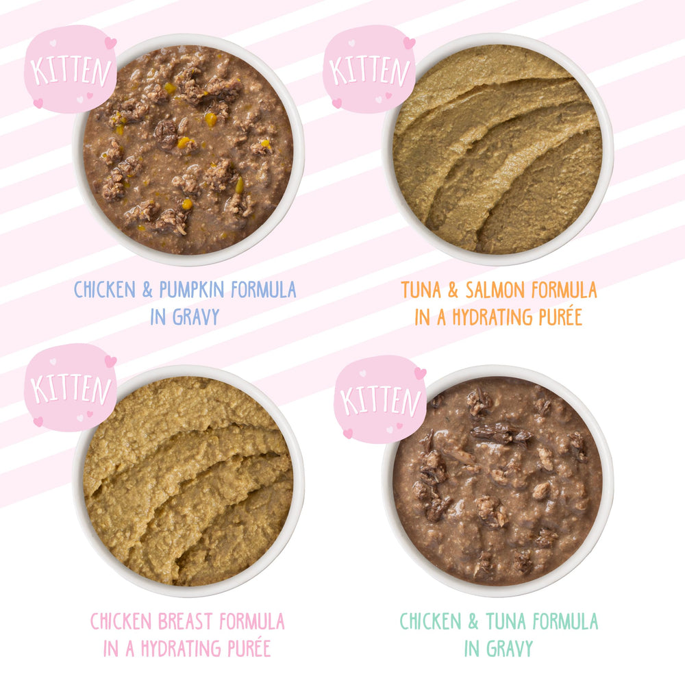 Weruva Kitchen Chatons: Formule Thon et Saumon en boîtes 3oz, goût frais.