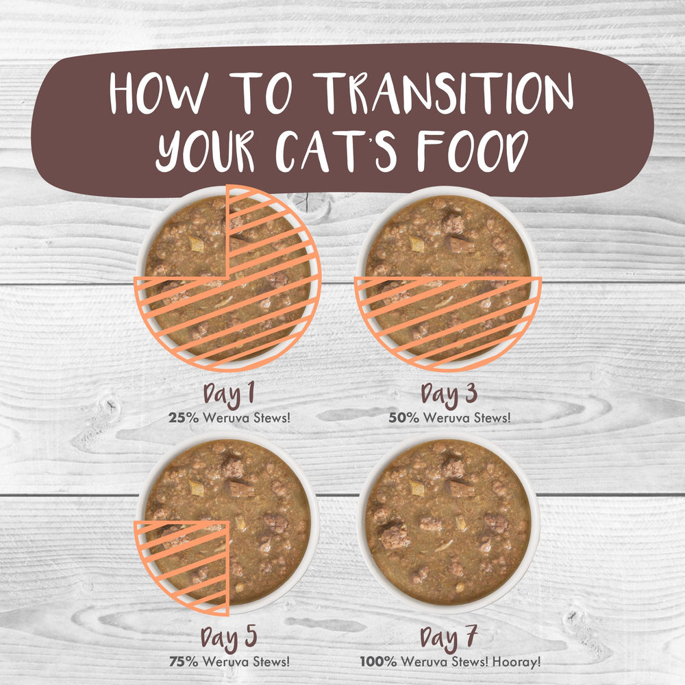 Repas complet et équilibré pour l’entretien des chats adultes.