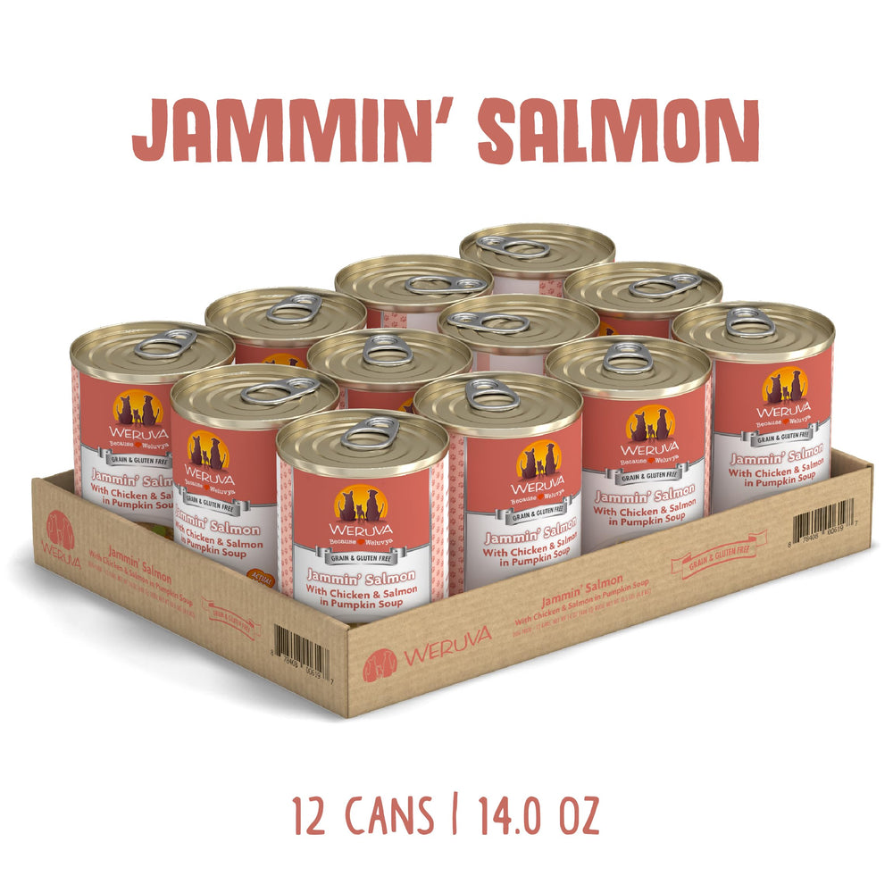 Jammin' Salmon et poulet en sauce, image montrant la texture riche.