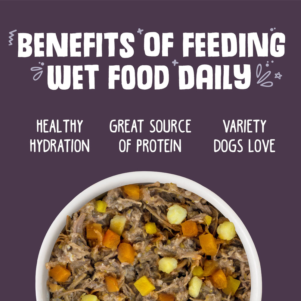 Texture hachée de bœuf dans Weruva Classic, idéal pour chiens difficiles.