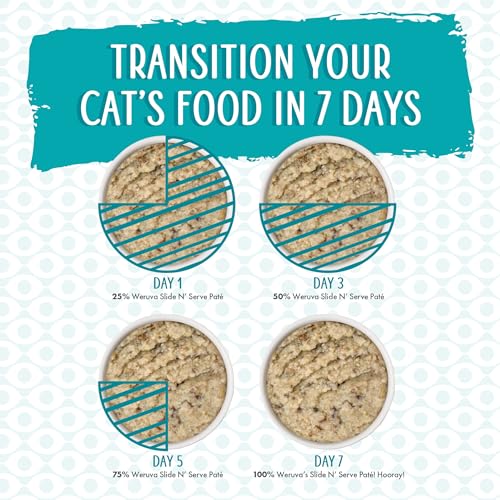 Hydratation et variété des repas possibles grâce à ce pâté appétant.