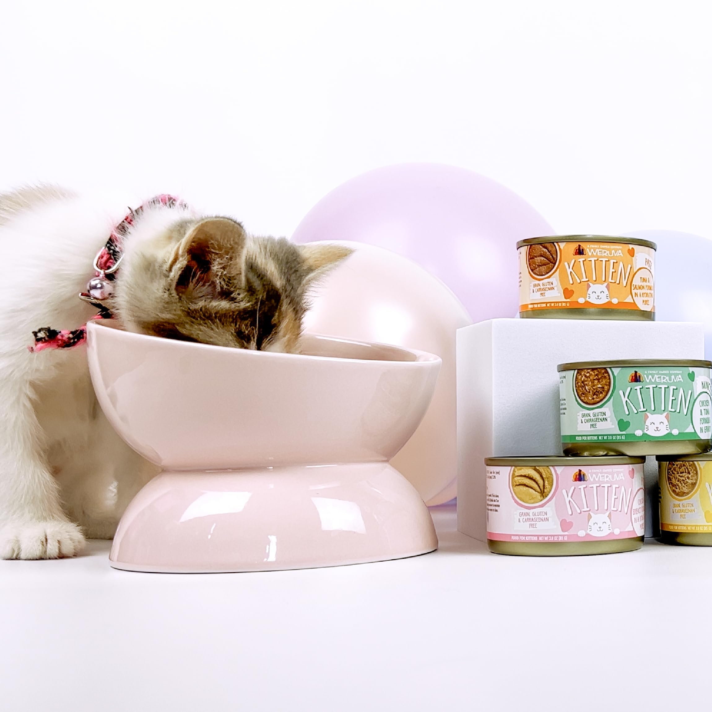 Riche en protéines et vitamines Weruva pour soutenir la croissance du chaton.
