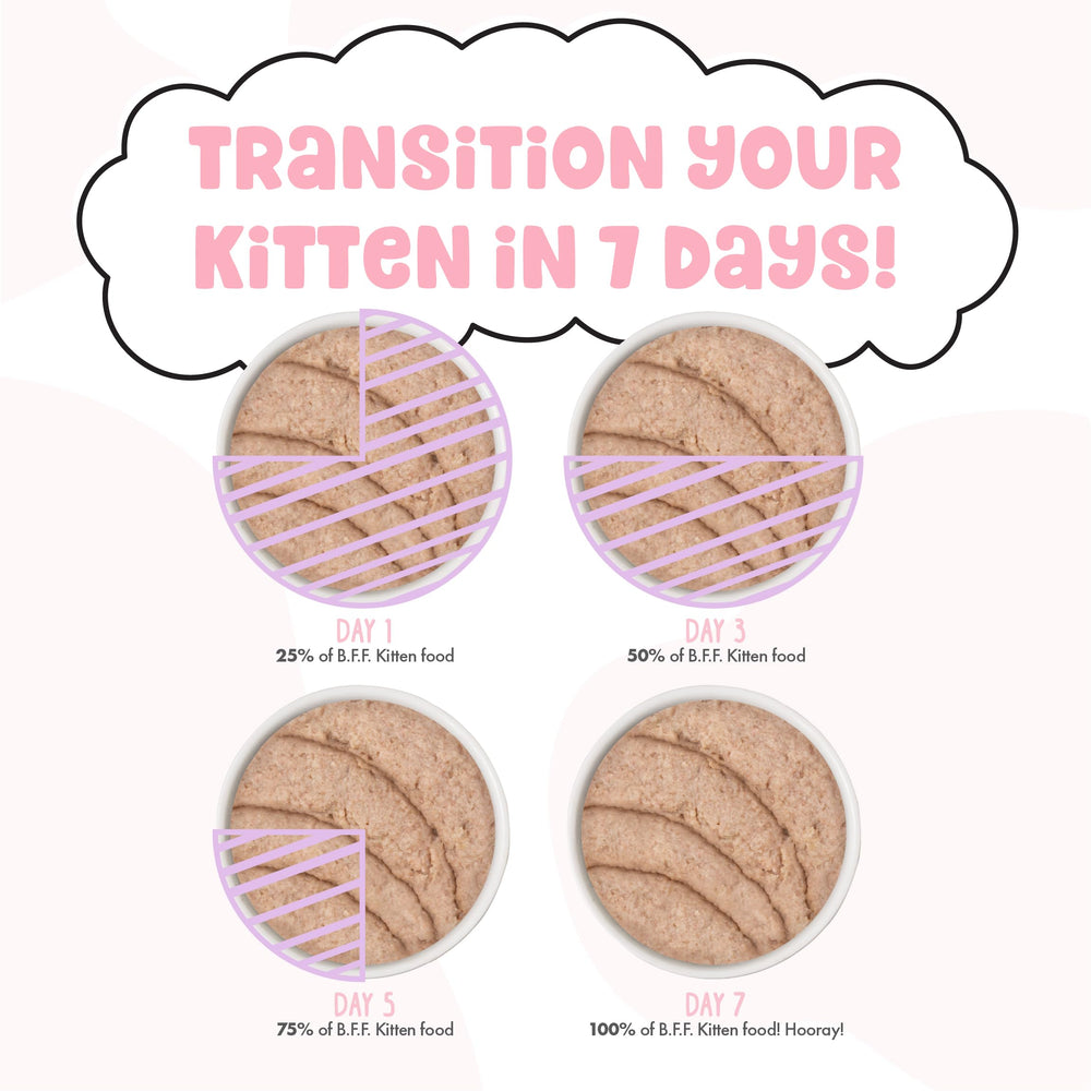 Purée Weruva Kitten hydratante, soutien quotidien pour chatons.
