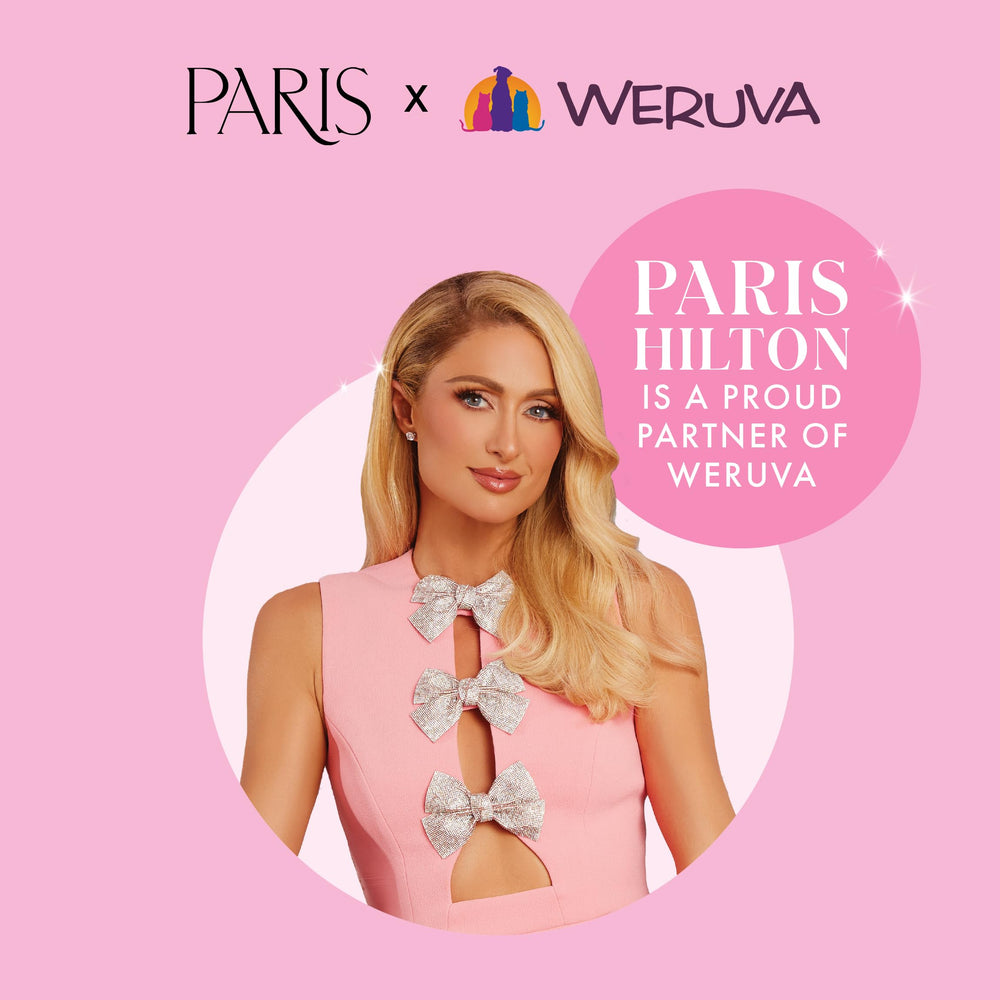 Lie à une entreprise familiale et à la qualité chez Weruva Pamper Like Paris.