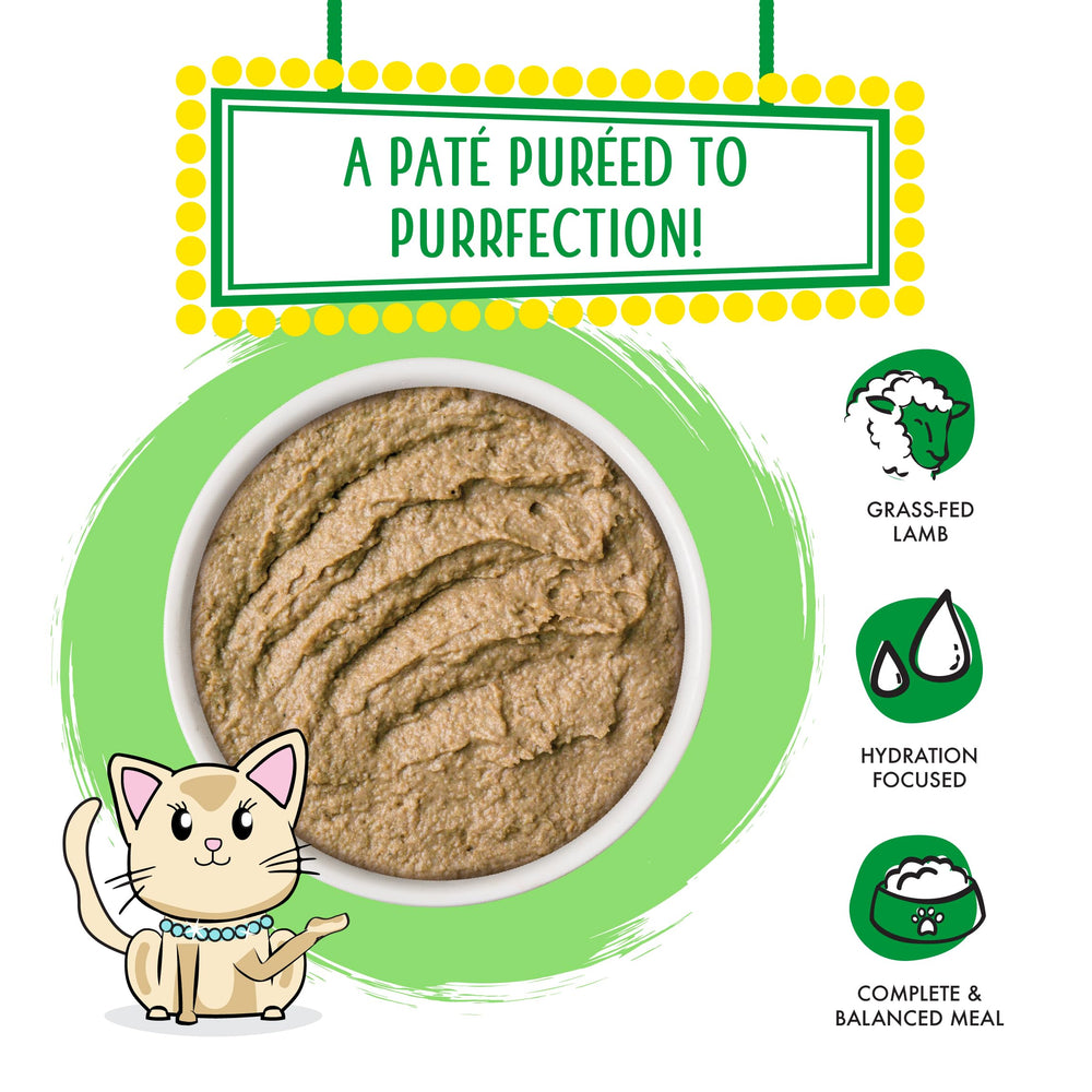 Texture crèmeuse et lisse de la pâte Weruva pour chat gourmand.