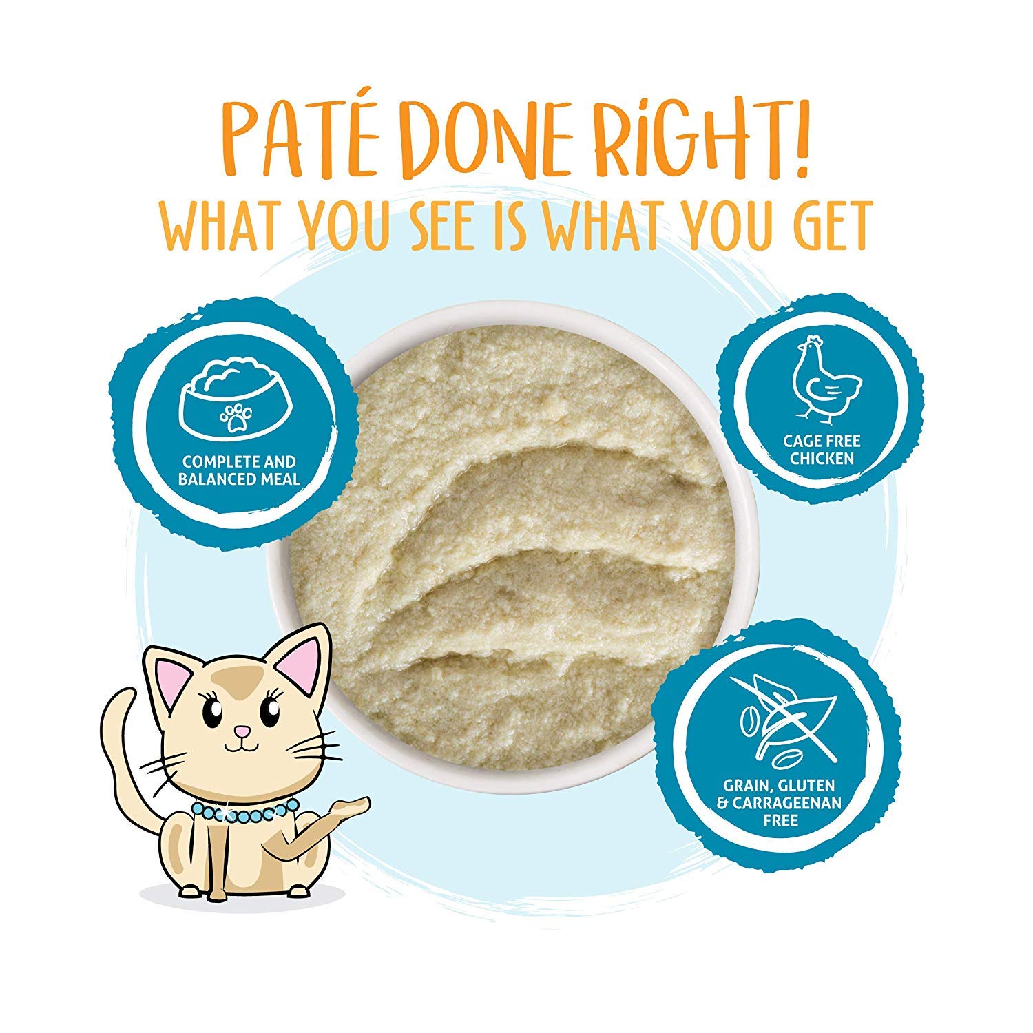 Pâte de poulet blanc sans os et sans peau, purée pour alimentation simple