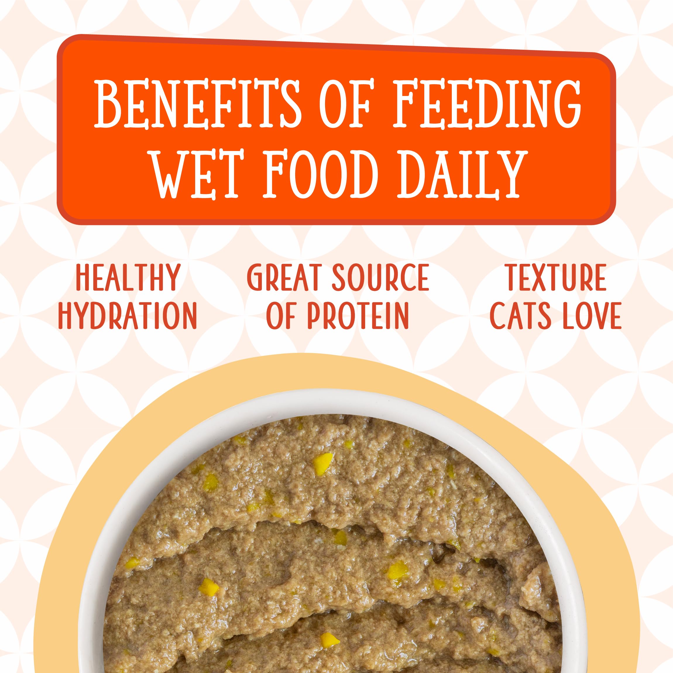 Format pack12 pour facilité d'utilisation Weruva The Breakfast Cat