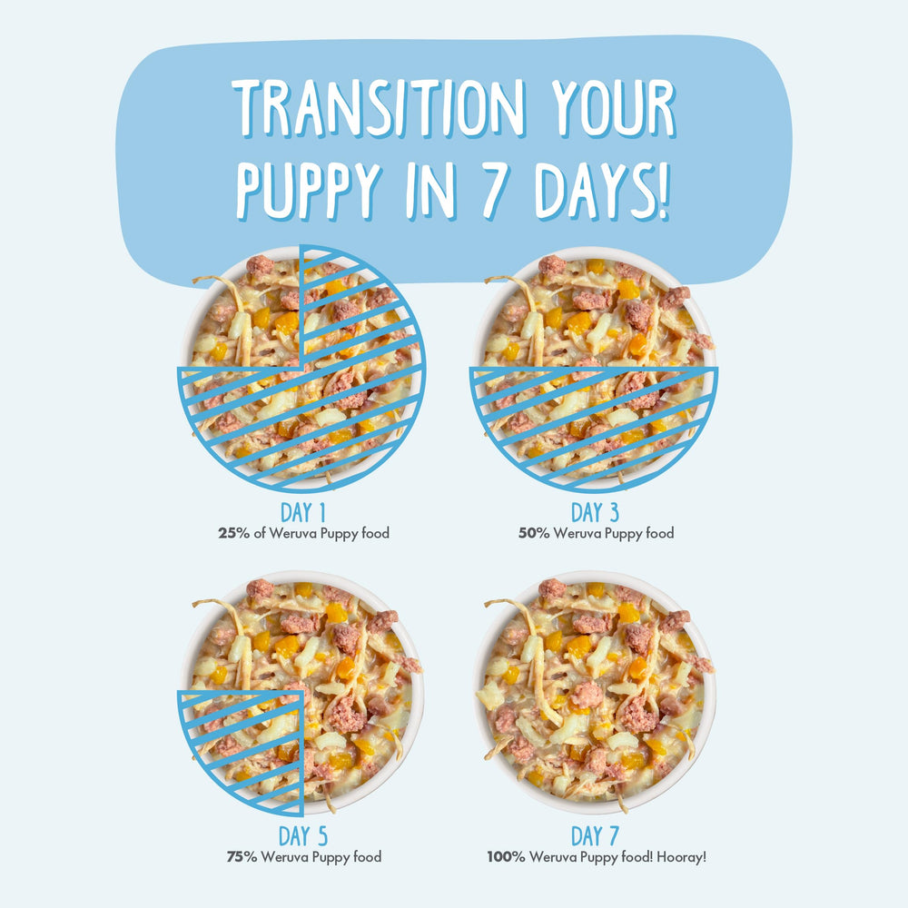 Weruva Puppy – conseils d’alimentation humide et pratique